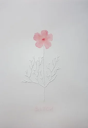 Objet de convoistise