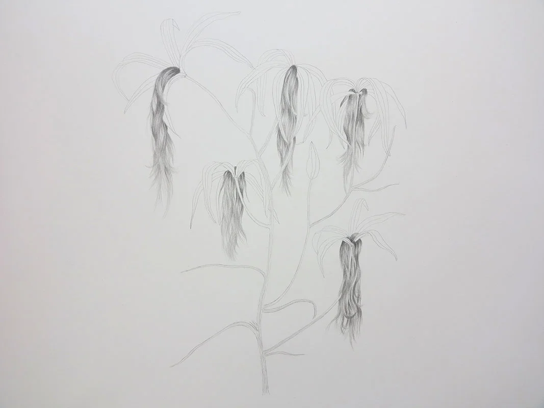 Fluctuat nec Mergitur