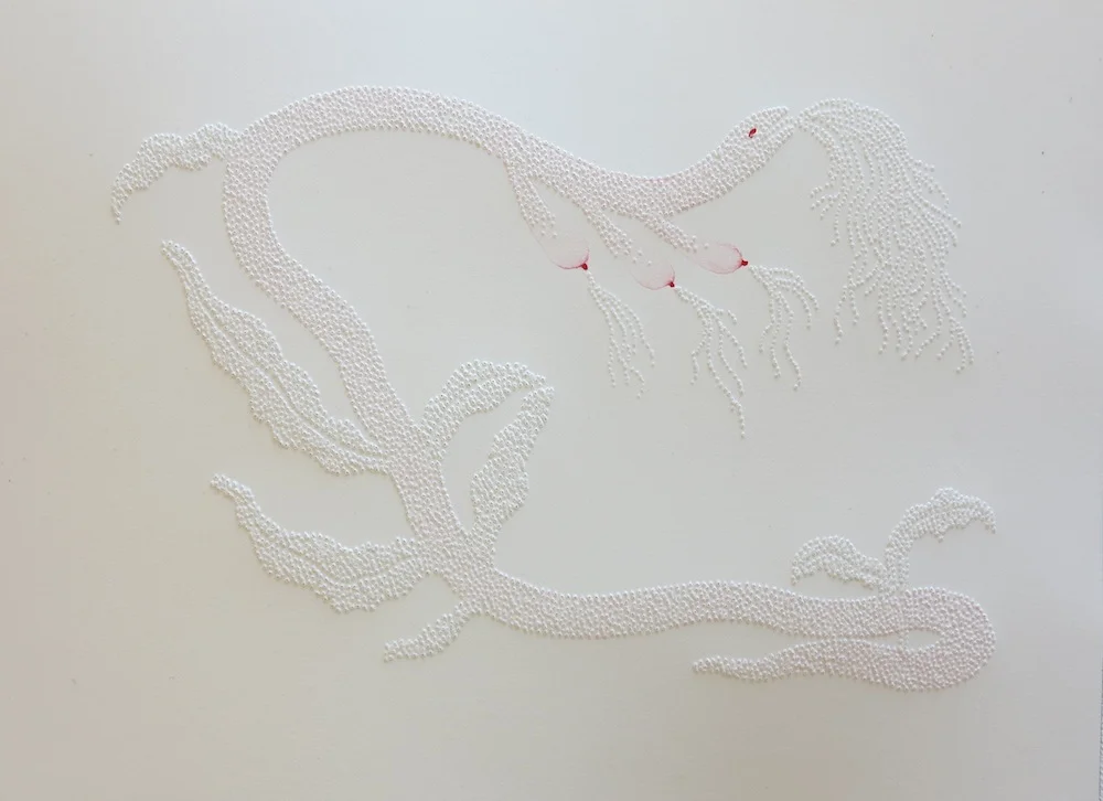 Le sexe des feuilles