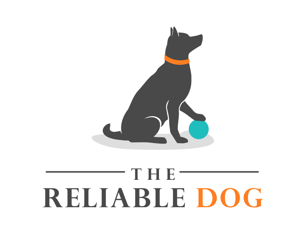 The Reliable Dog | Professional Dog Trainer | Cape Cod and South Shore, MA