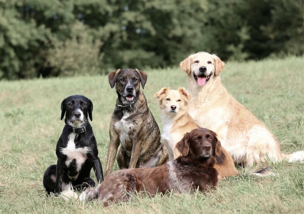 Demo Post to be Removed