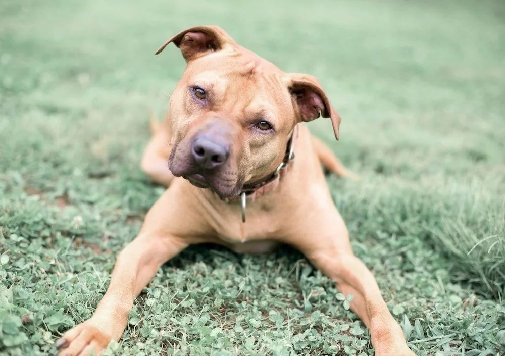 Demo Post to be Removed