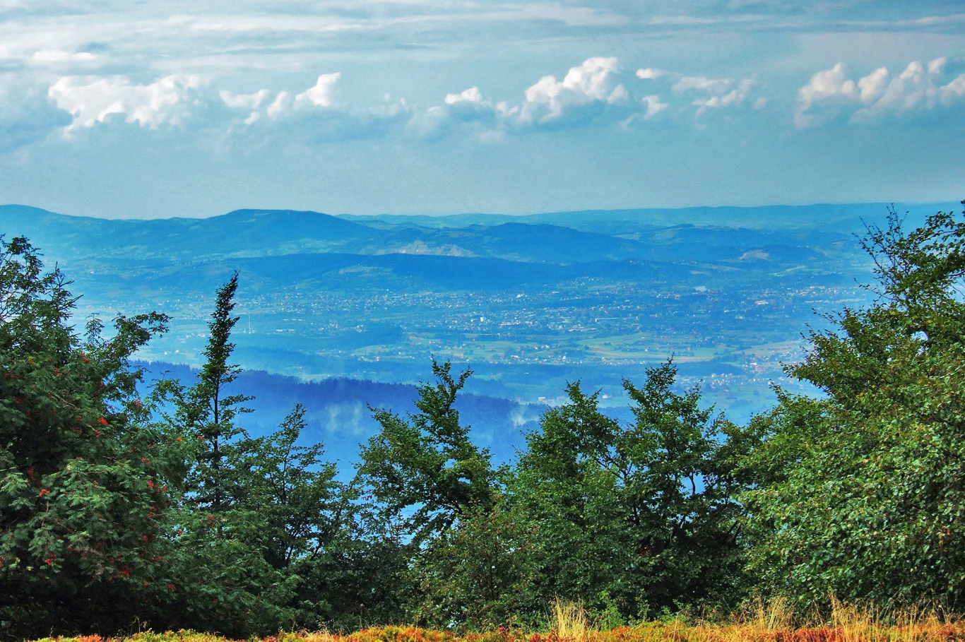 Nowy Sacz - view from the trail