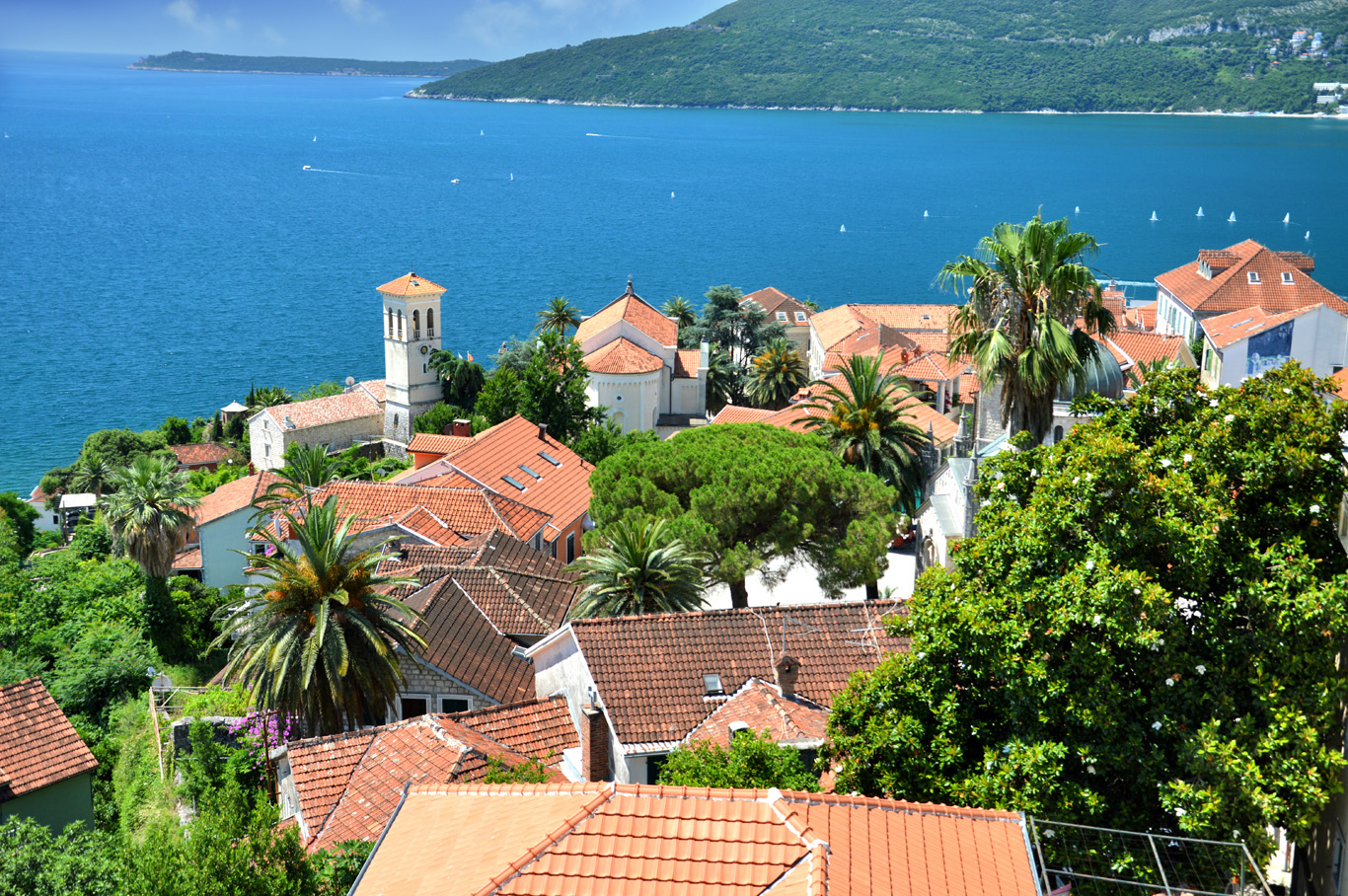 Herceg Novi, Montenegro - Beautiful Coastal Town in The Bay of Kotor —  Adventurous Travels | Adventure Travel | Best Beaches | Off the Beaten Path  | Best Countries | Best Mountains Treks