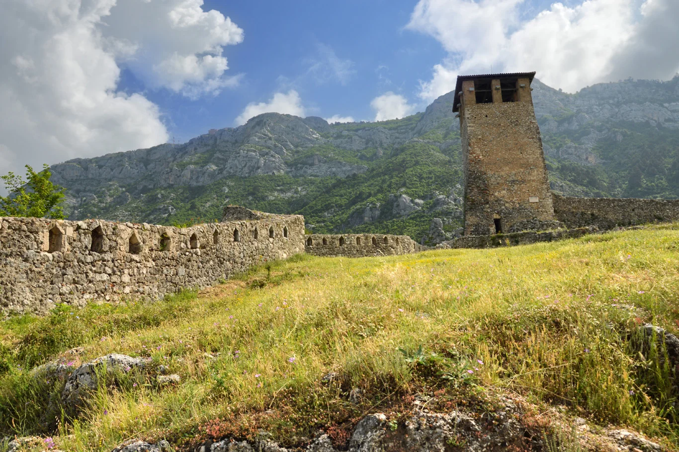 Medieval Tower and the defensive wall