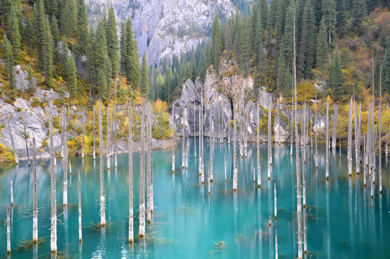 Lake Kaindy Kazakhstan One Of The Most Unique Lakes In The World 