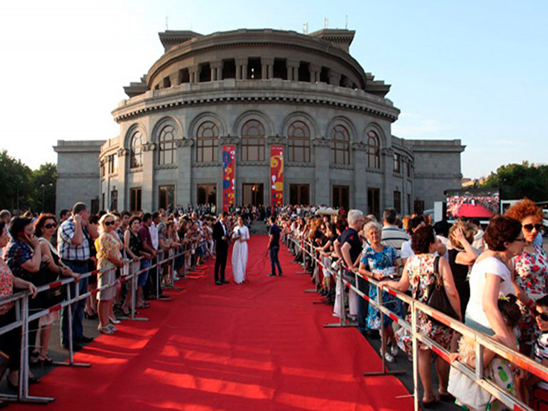 Festival Golden Apricot
