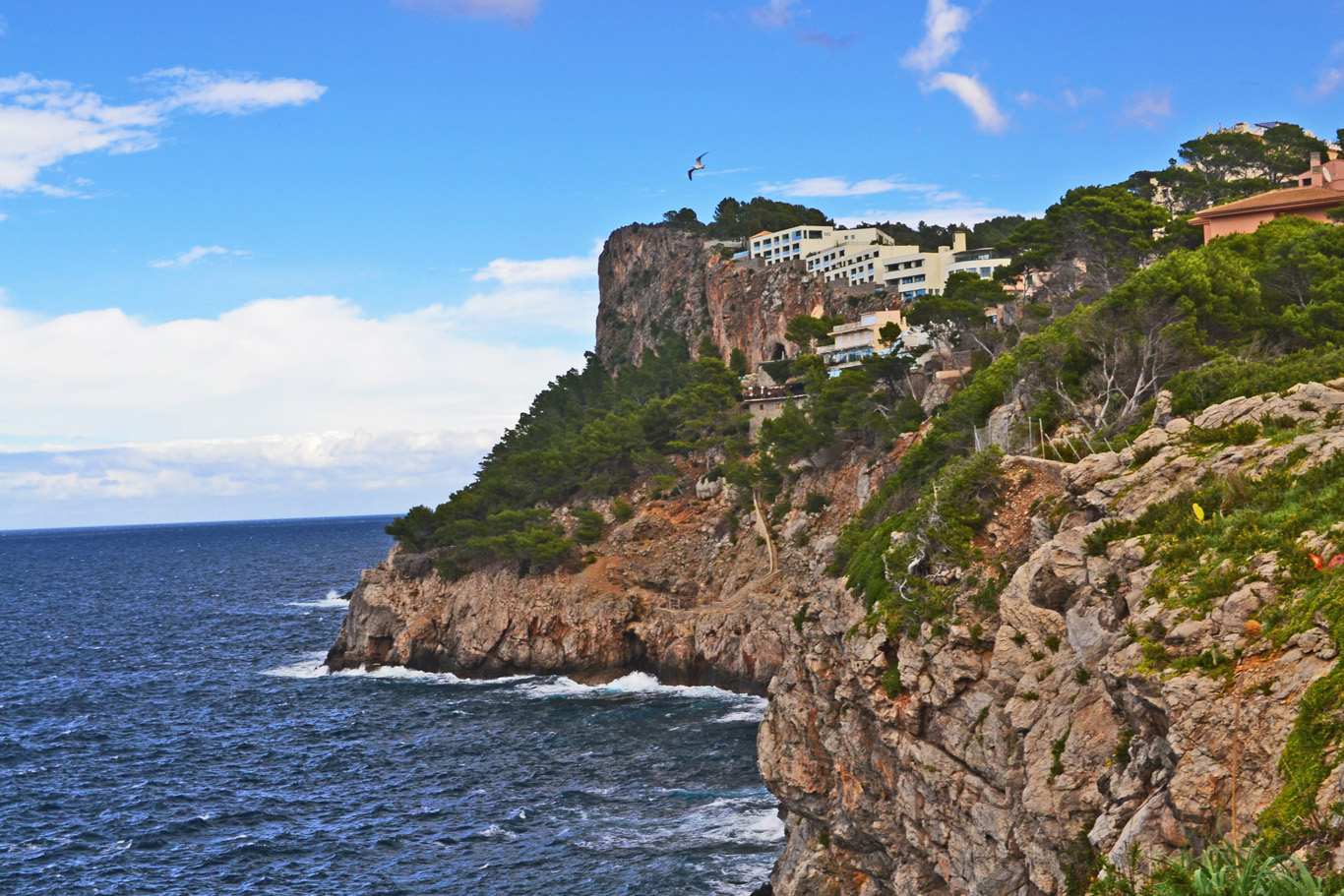   Cliffs in Majorca    more info  