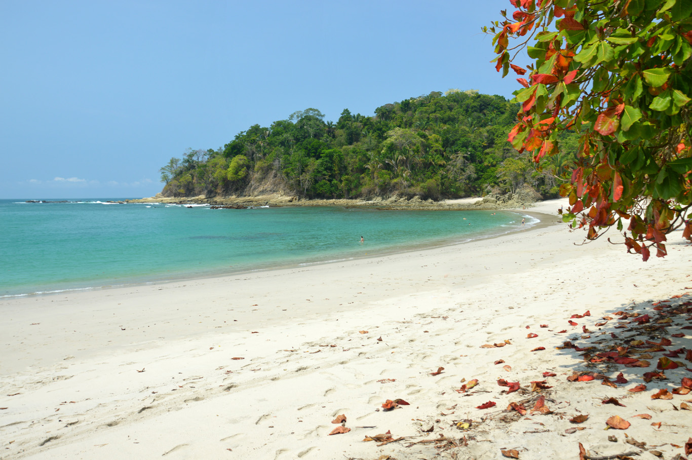 Manuel Antonio