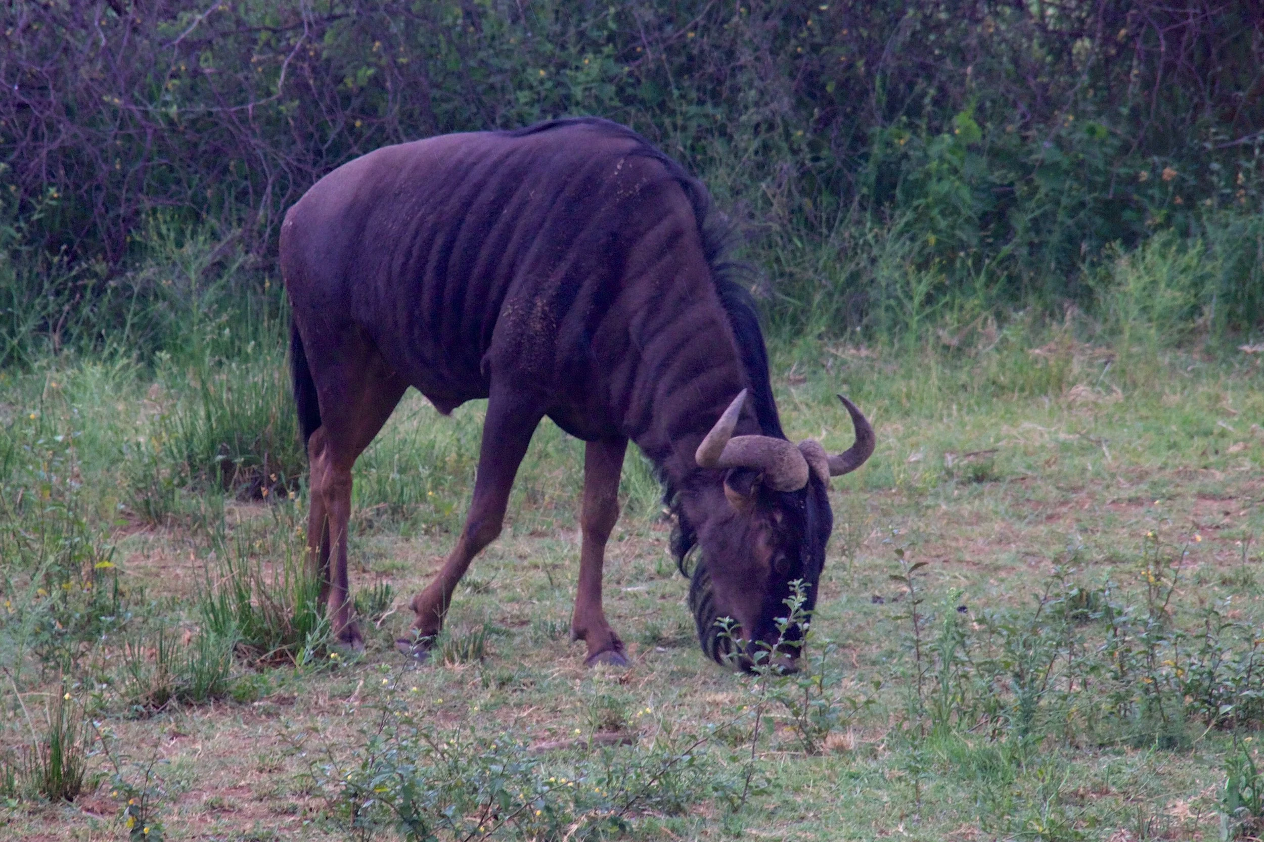 image001.jpg