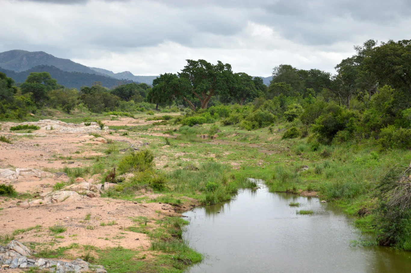 Kruger Park during the rainy season