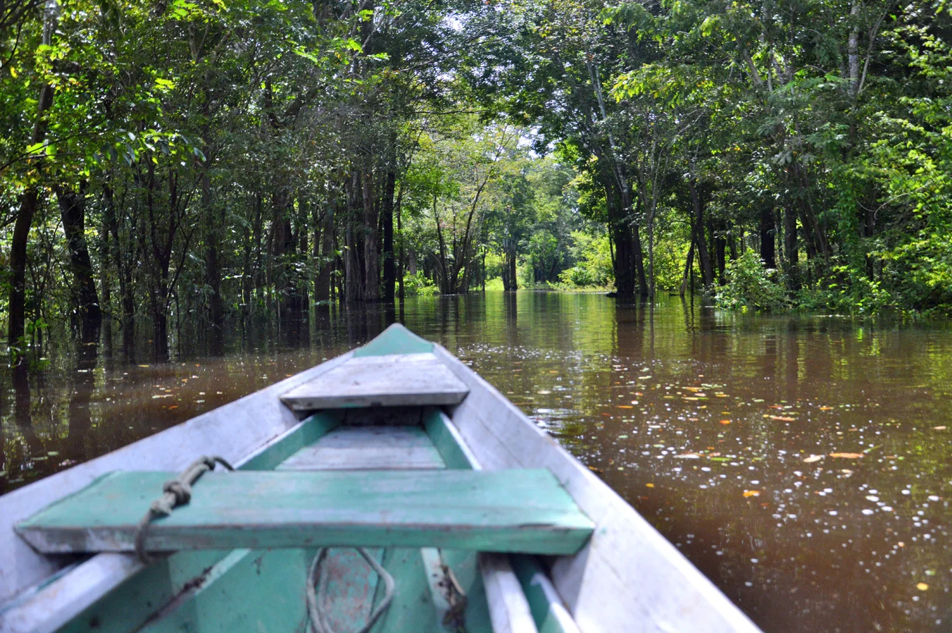 Top Tips for Your Next Kayak Fishing Adventure
