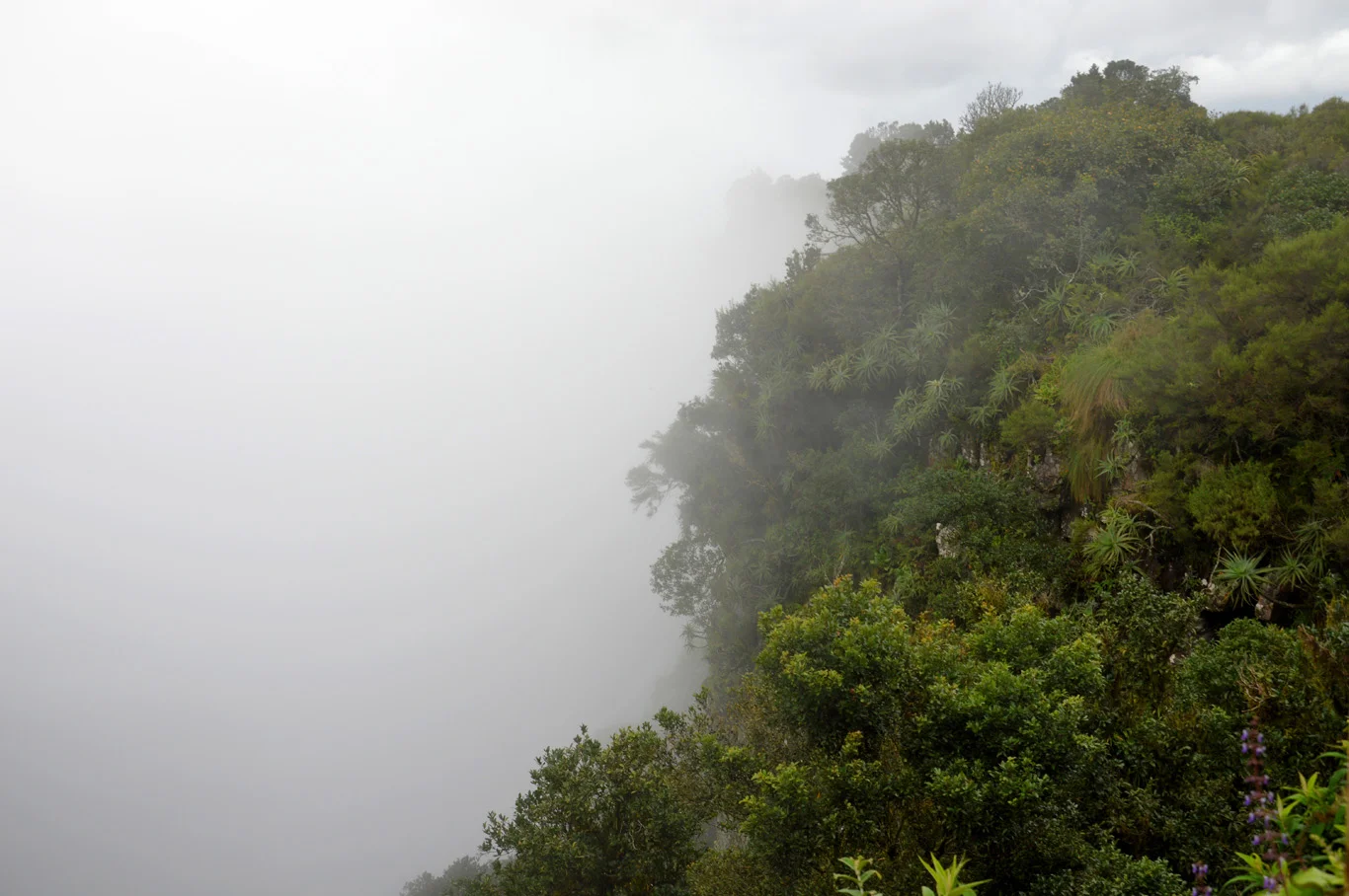 This is the view we got from the first viewpoint…