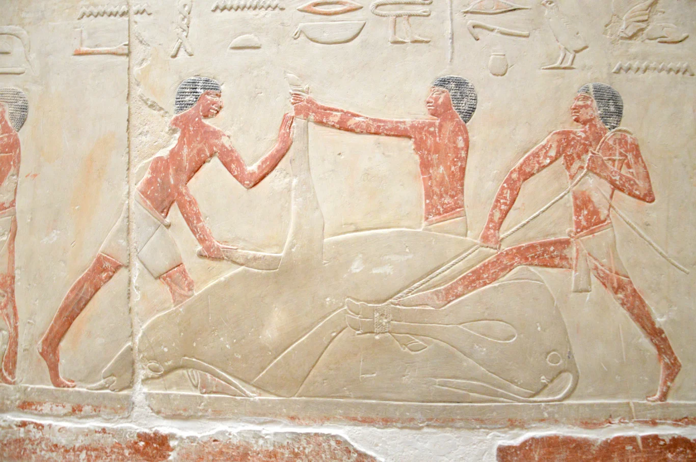 Hieroglyphs and inscriptions in one of the tombs