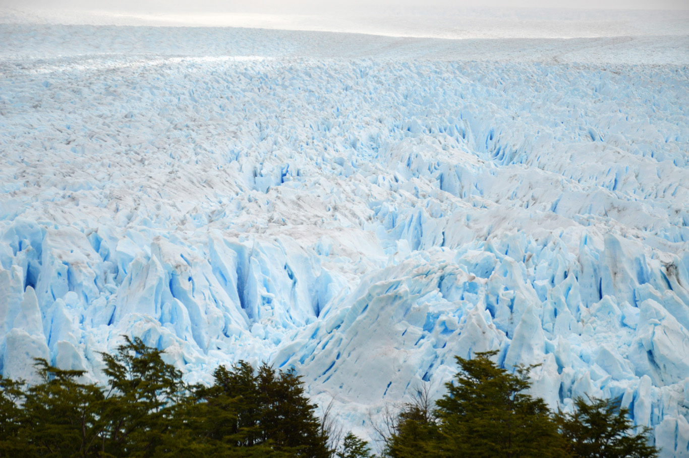   Ice Desert - Perito Moreno     more info   