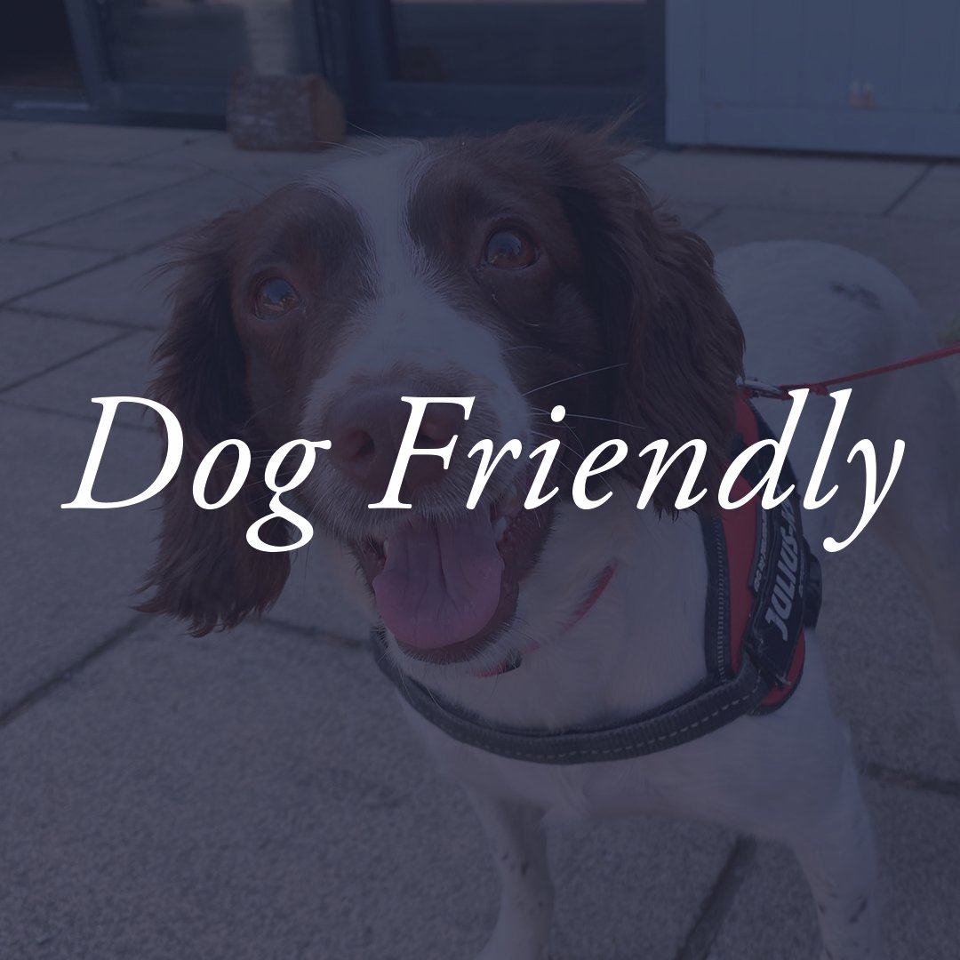 Dog_friendly 2 .jpg