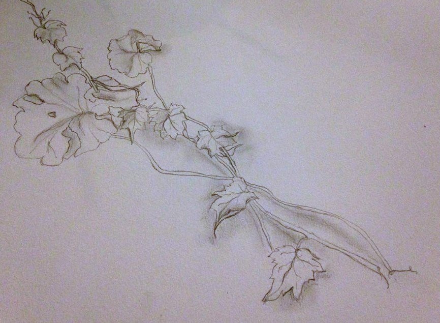 Botanicals.jpg