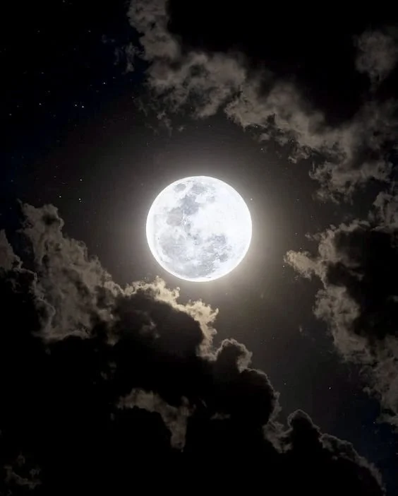 Leadership and Guided Wisdom Full Moon in Leo in Magha Nakshatra February 24th