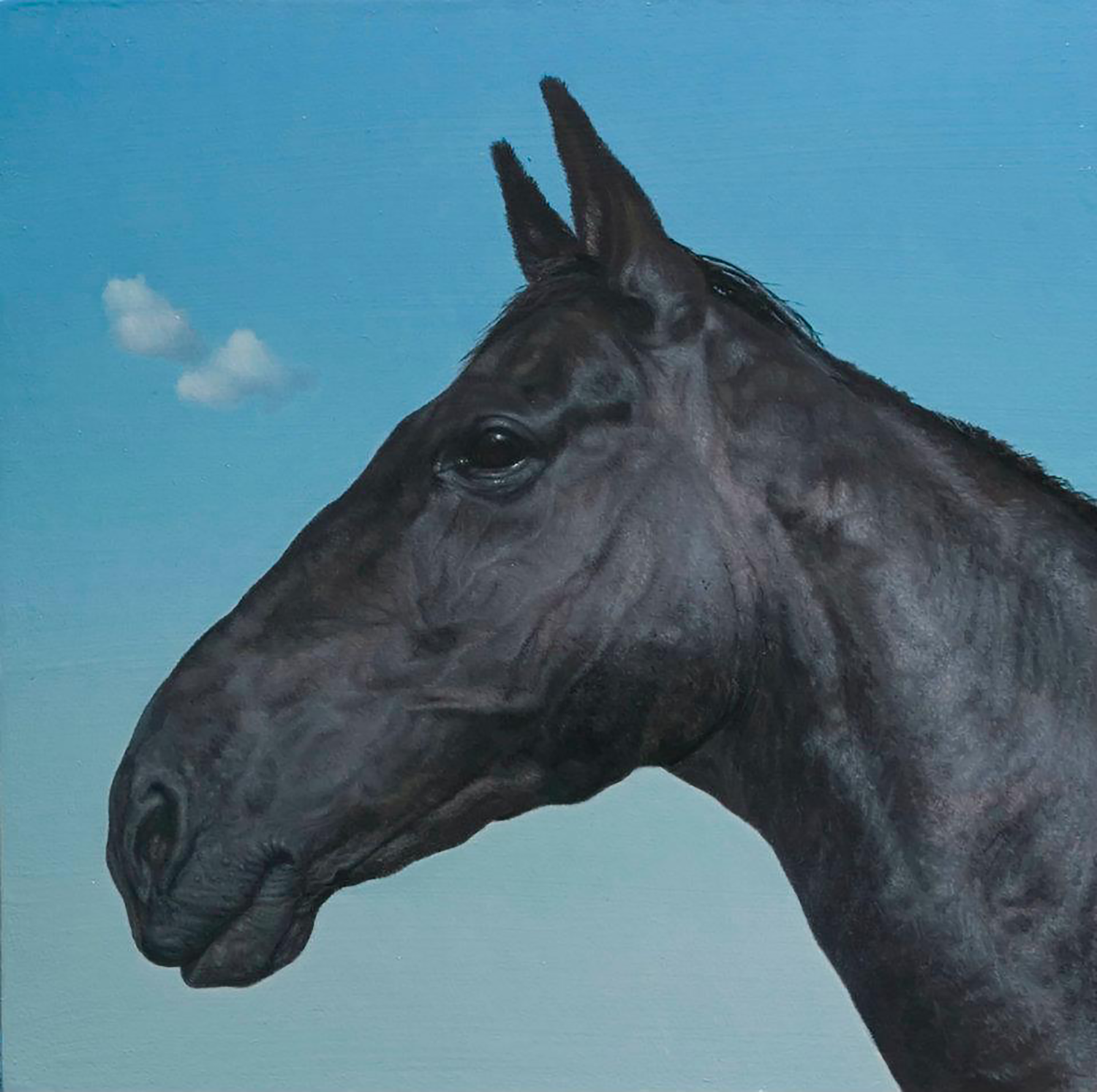 DARK HORSE