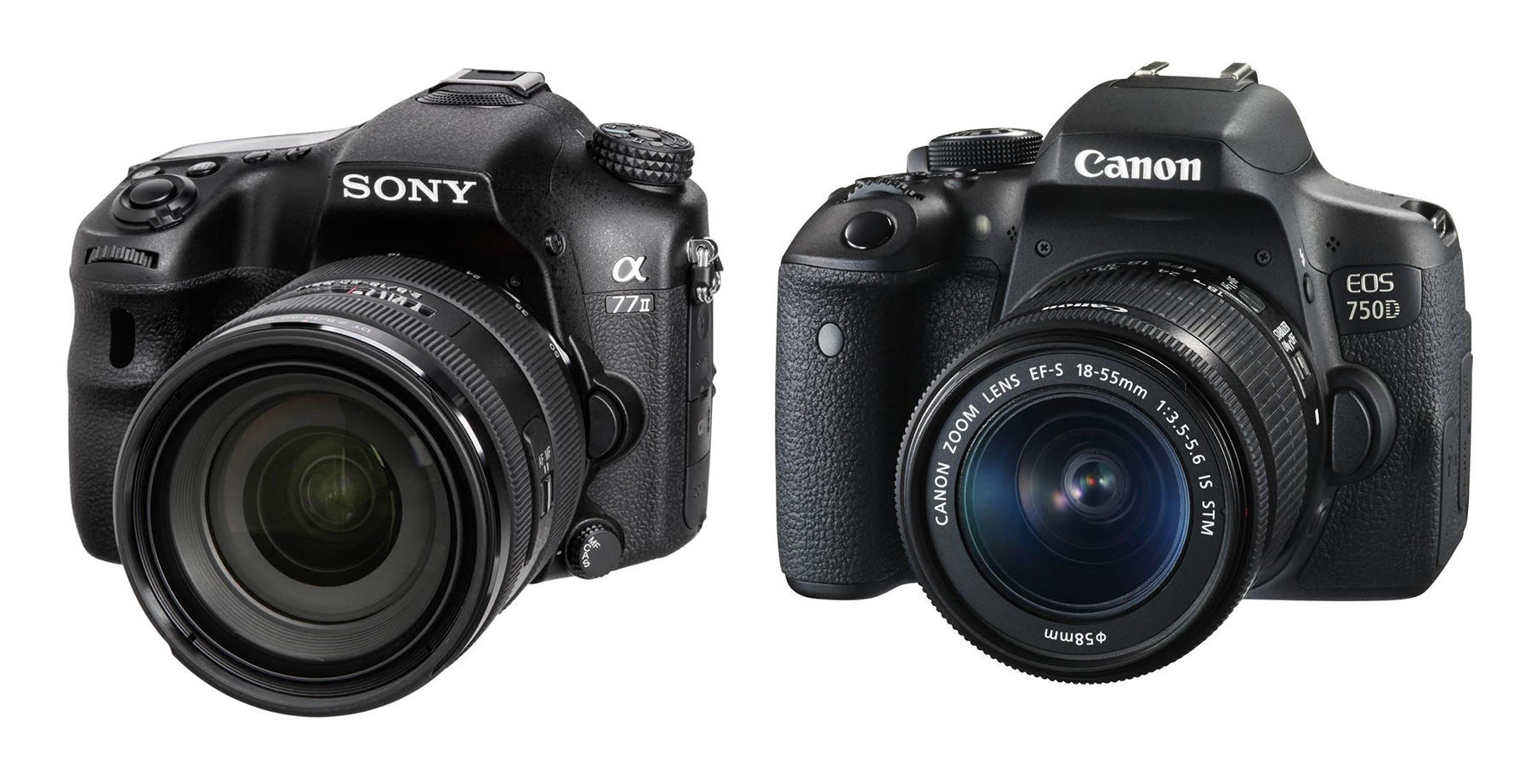 Sony A77 & Canon EOS 750D
