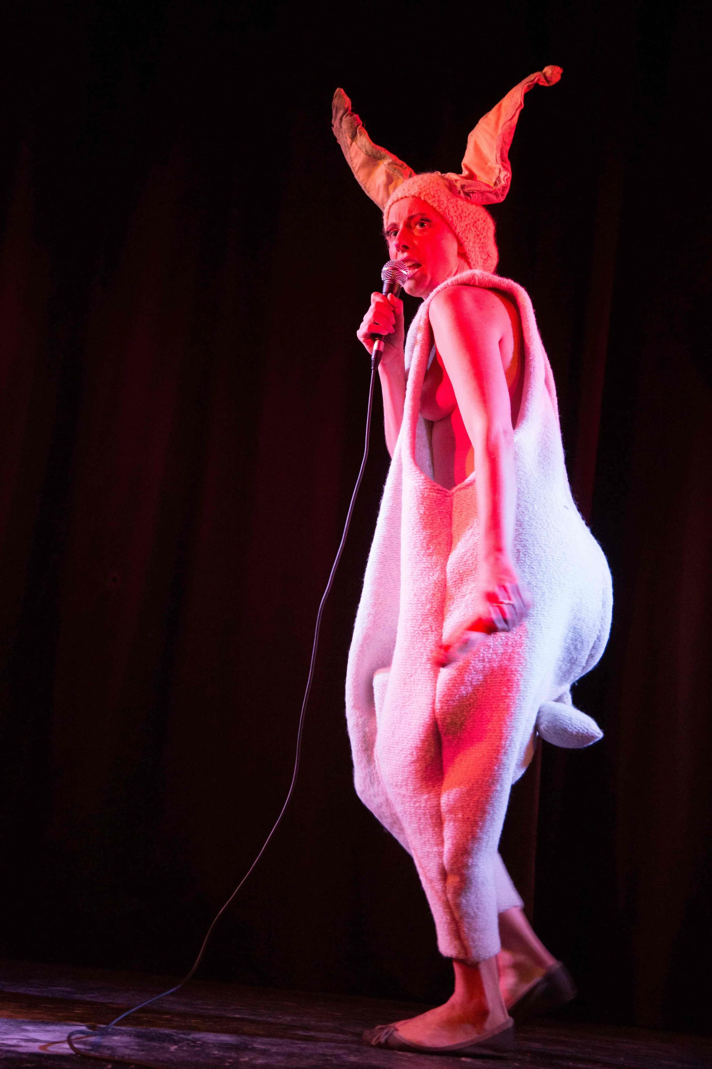Bunny with a fever, photo: Nada Žgank, Gromka, 2014