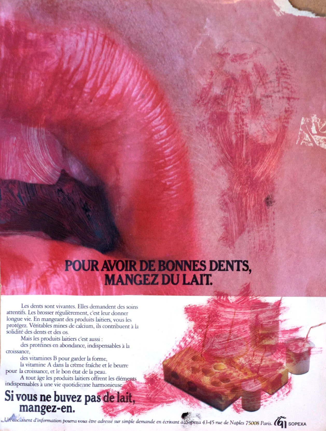 collage_big_mouth_2008.jpg