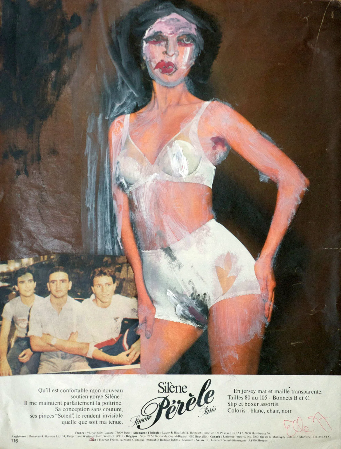 collage_silène_haute-et-noire_2008.jpg