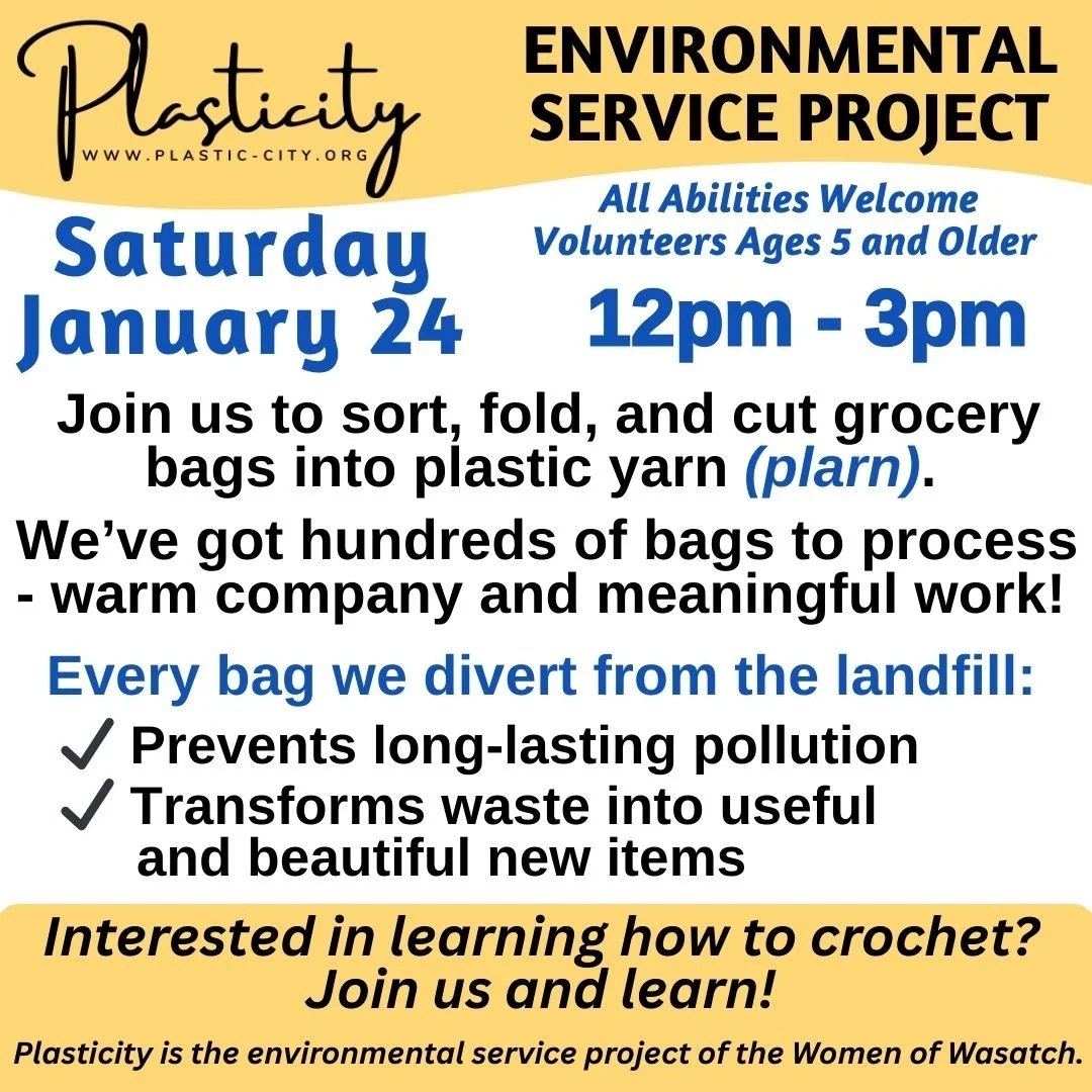 Jan 15, 2026 Crochet & Plarn Sessions  (2).jpg