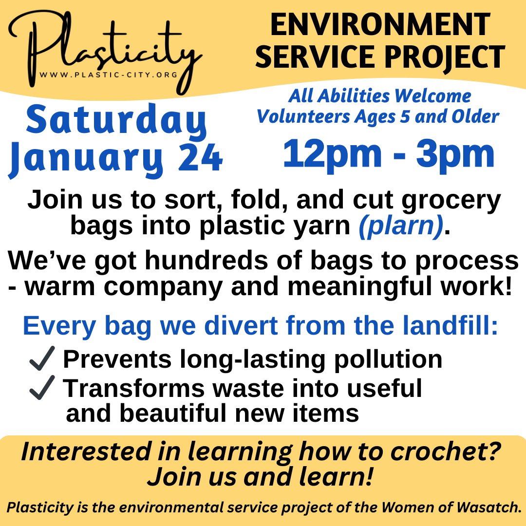 Jan 15, 2026 Crochet & Plarn Sessions  (2).jpg