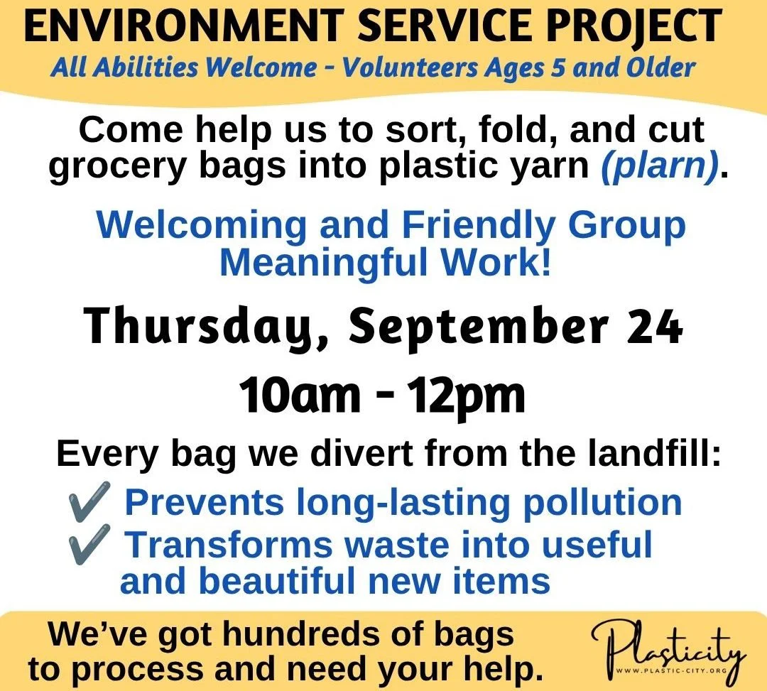 Environment Service Project 260924.jpg