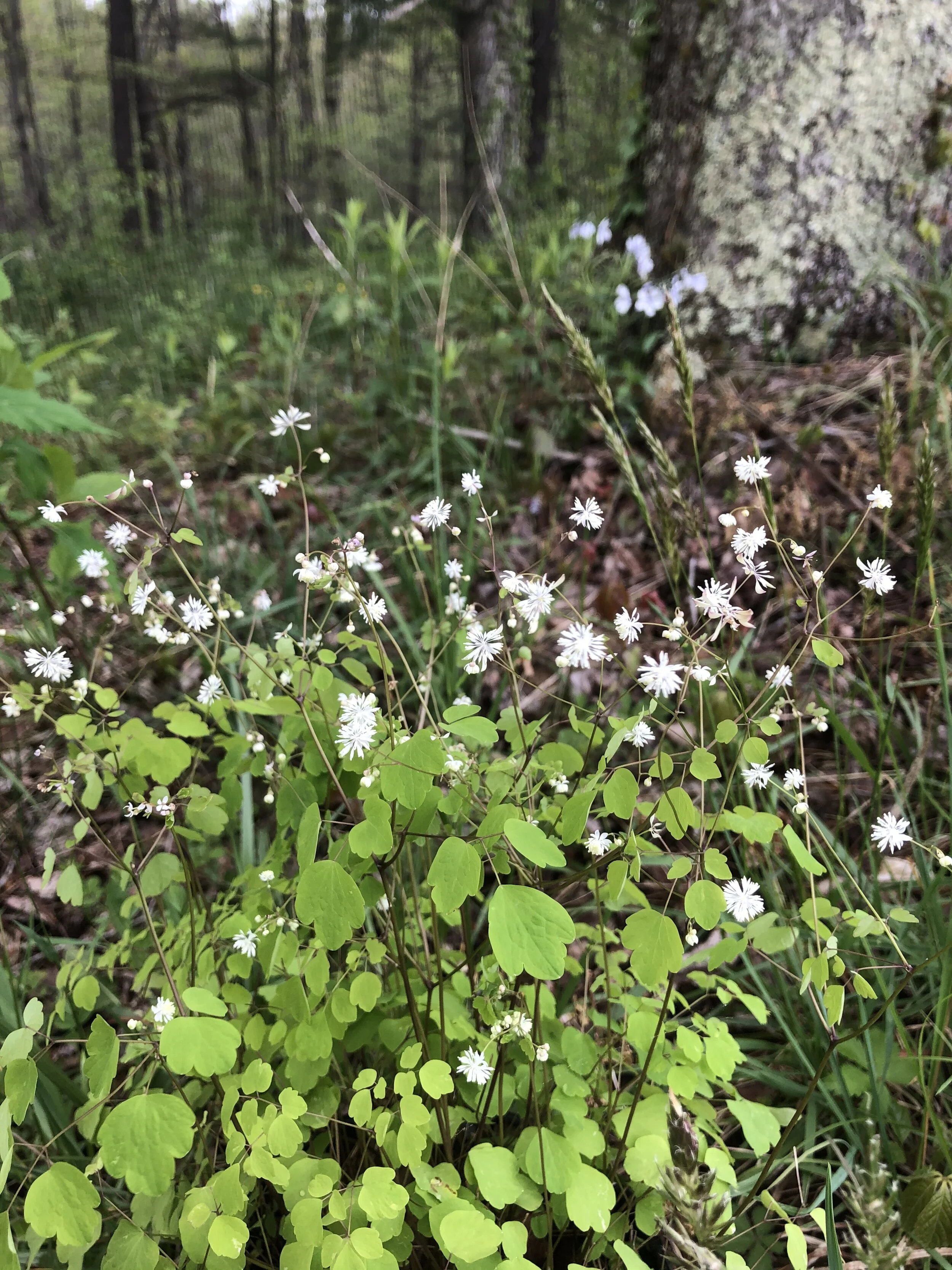 519A2D0B-B44C-41A4-9F7F-C85059A6A2F5