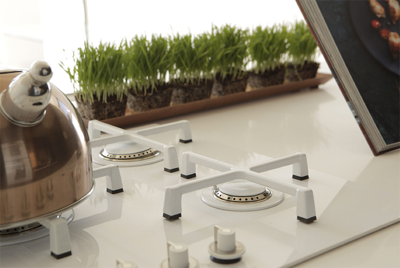 Wheatgrass stand and gas hob