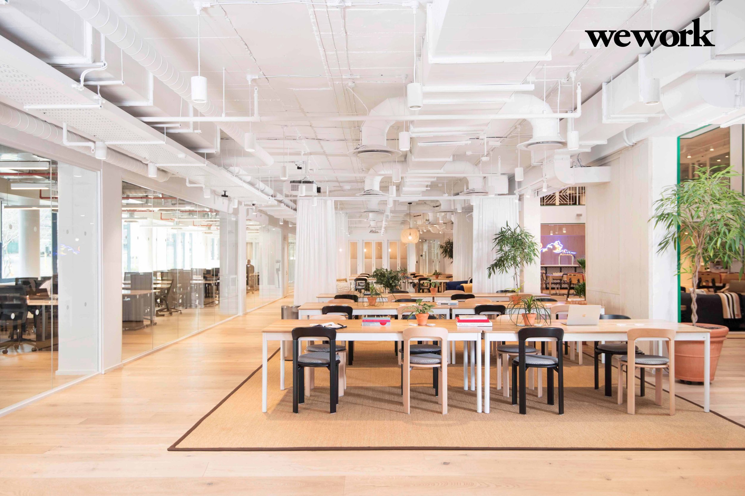 JUANE VENTER WEWORK copy.jpg