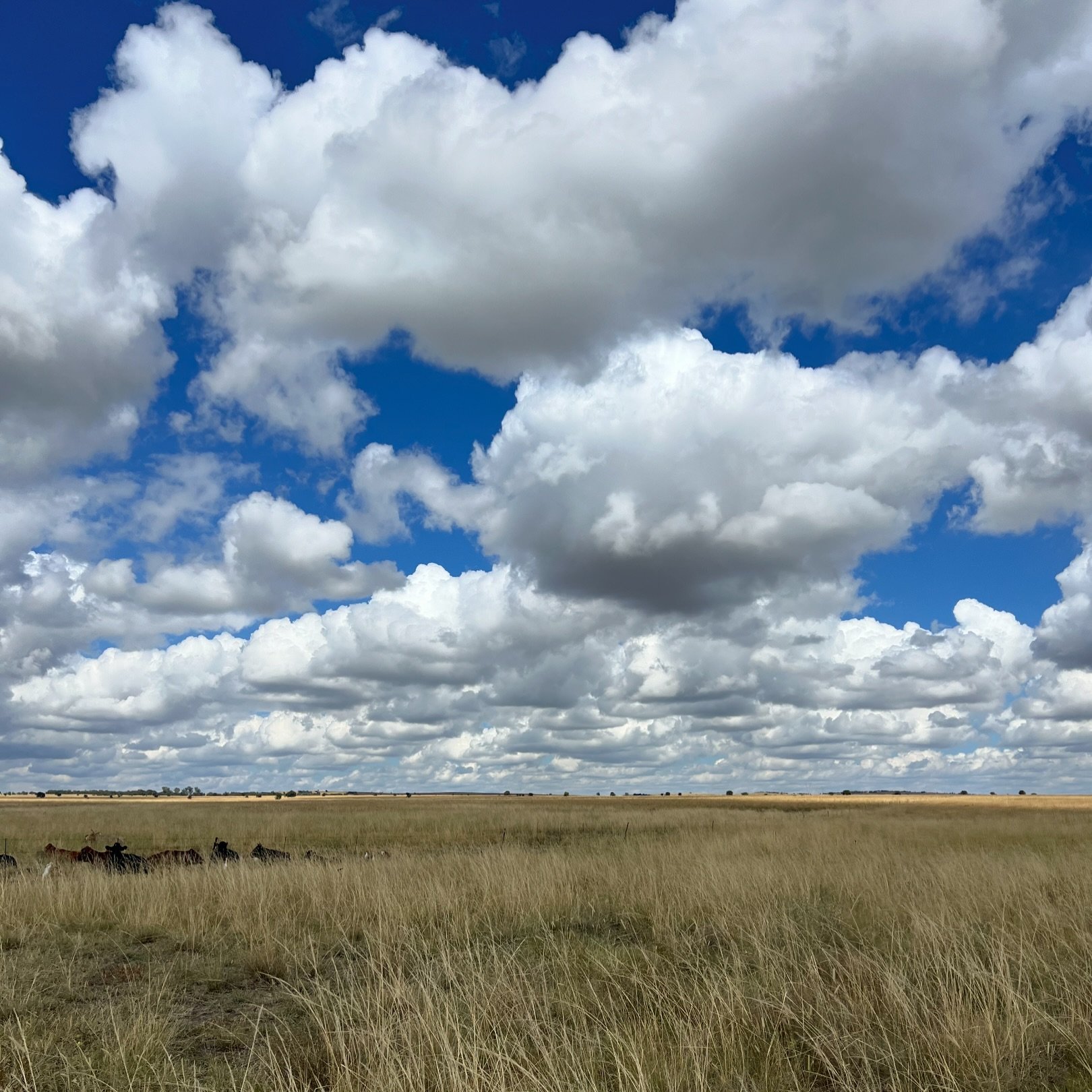 Grasslands #southafrica #farmviews