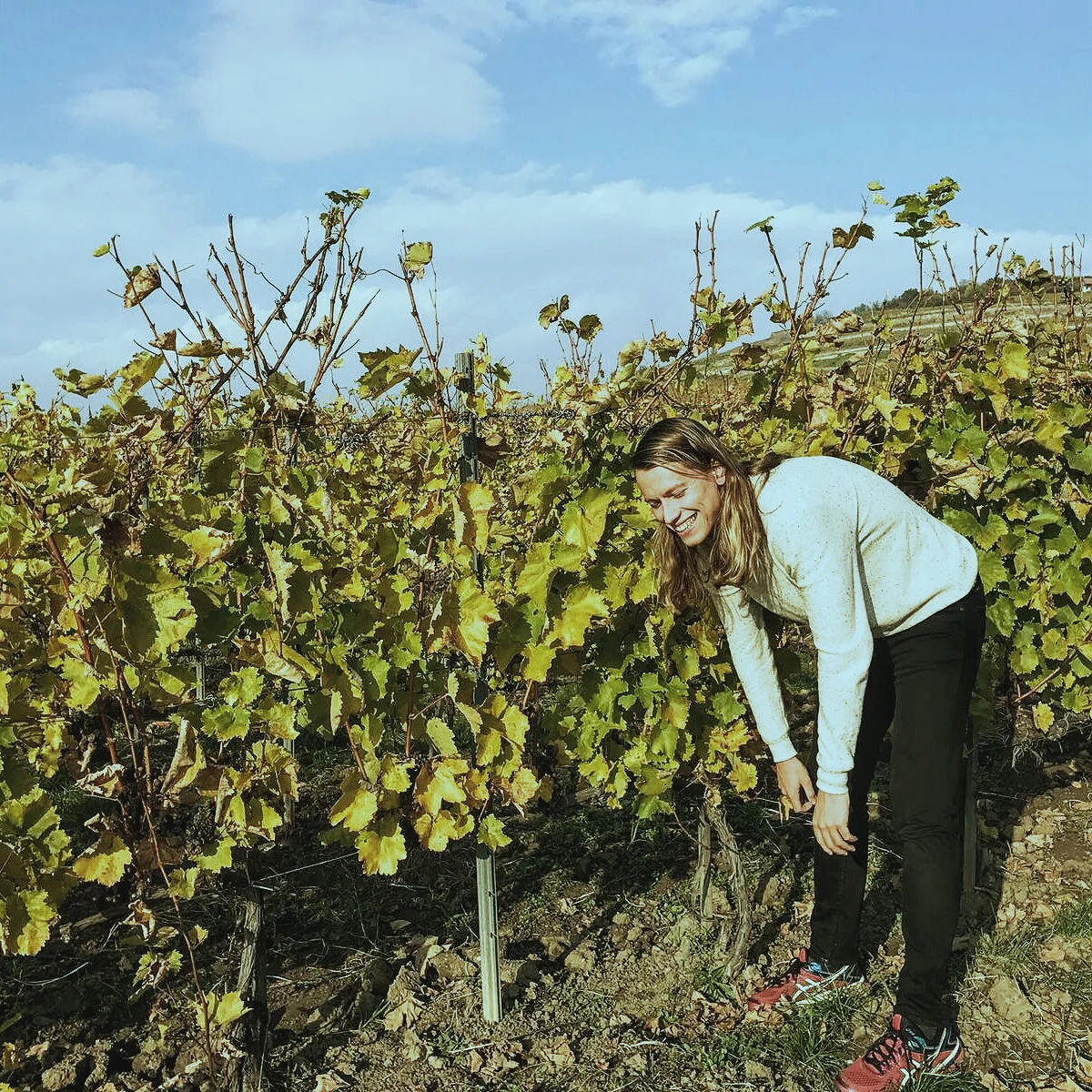  Cracking during a routine vineyard inspection...