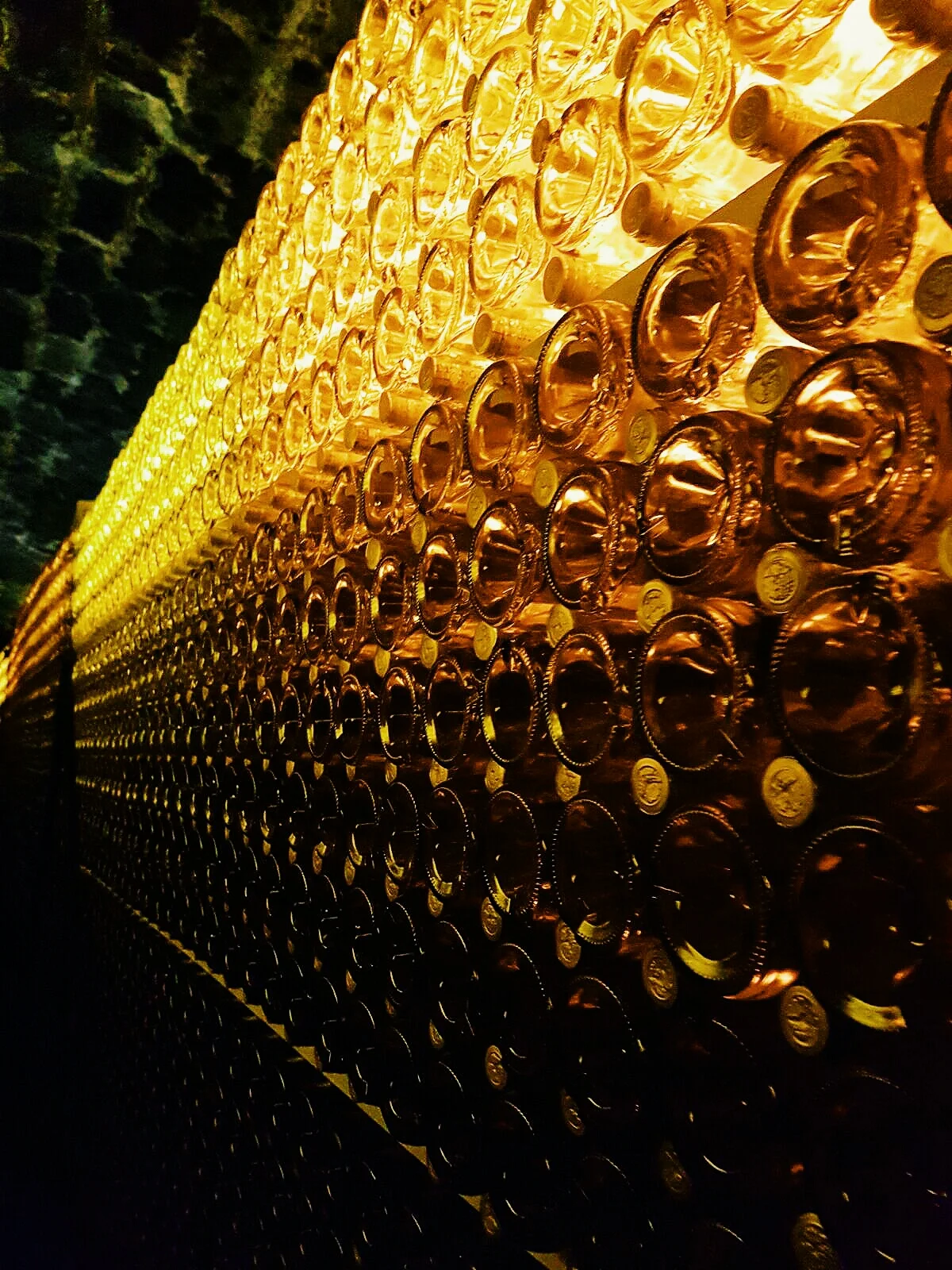 Golden elixir...