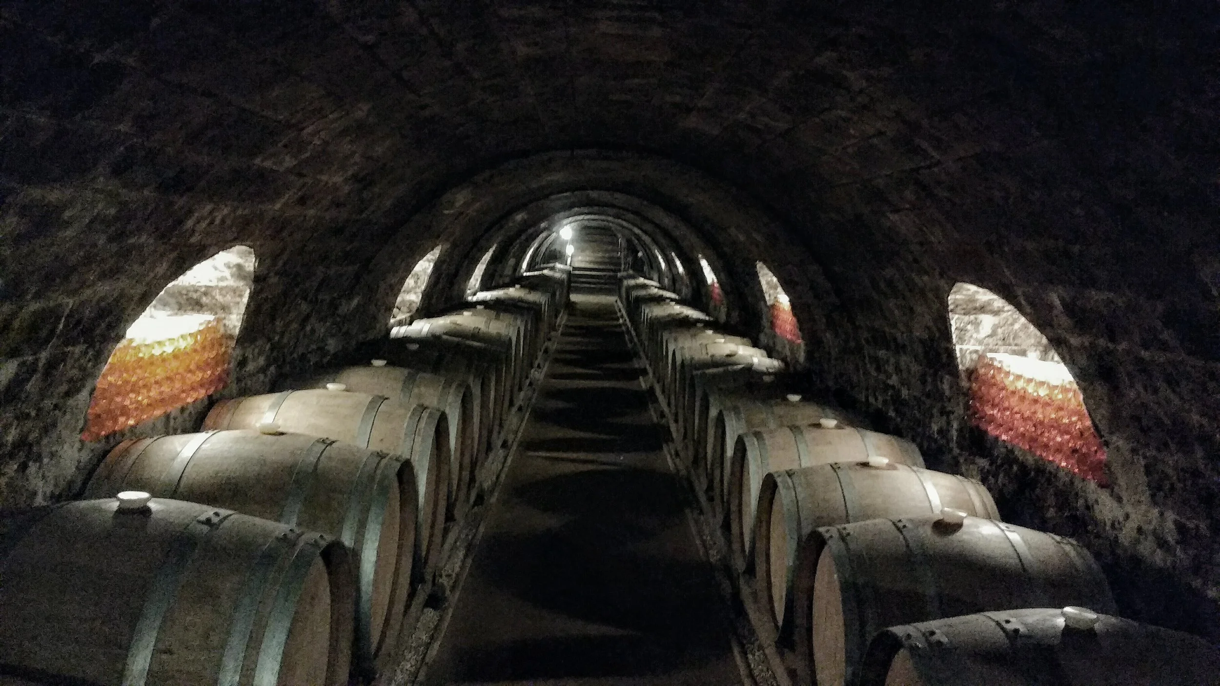 Oremus's EPIC cellar...