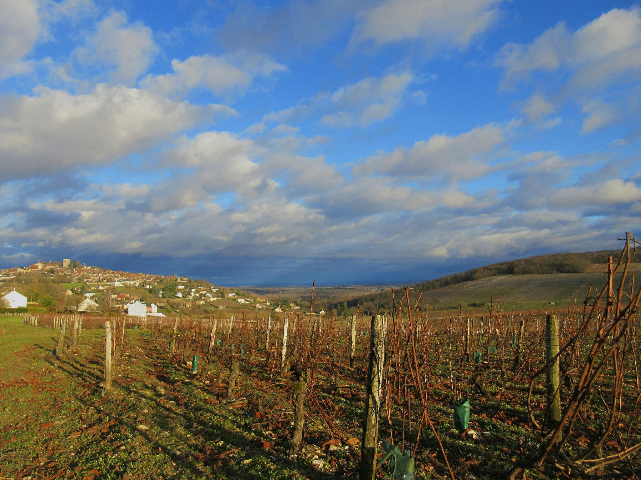  Les coteaux de Sancerre!