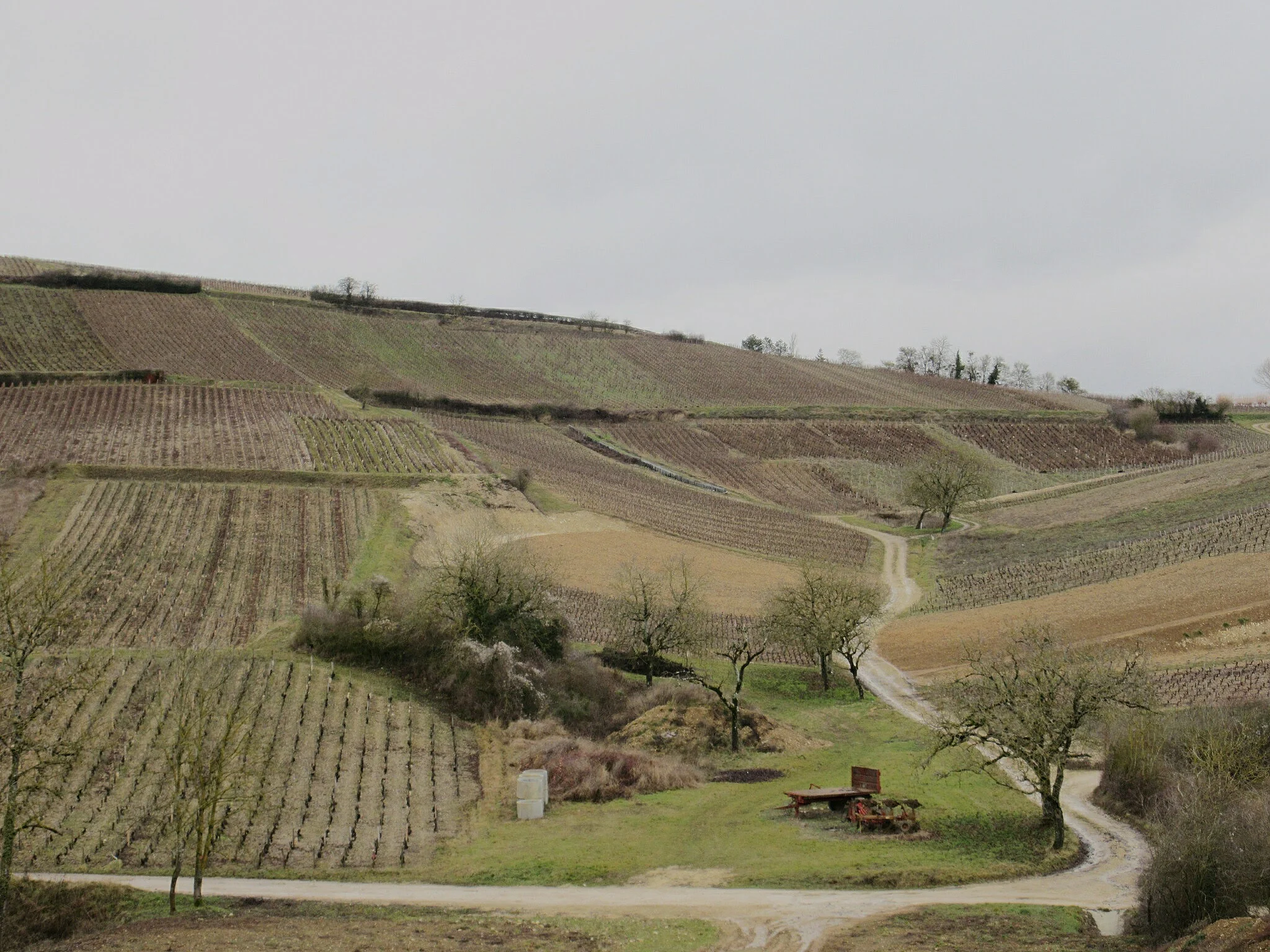  Western vineyards, Chavignol