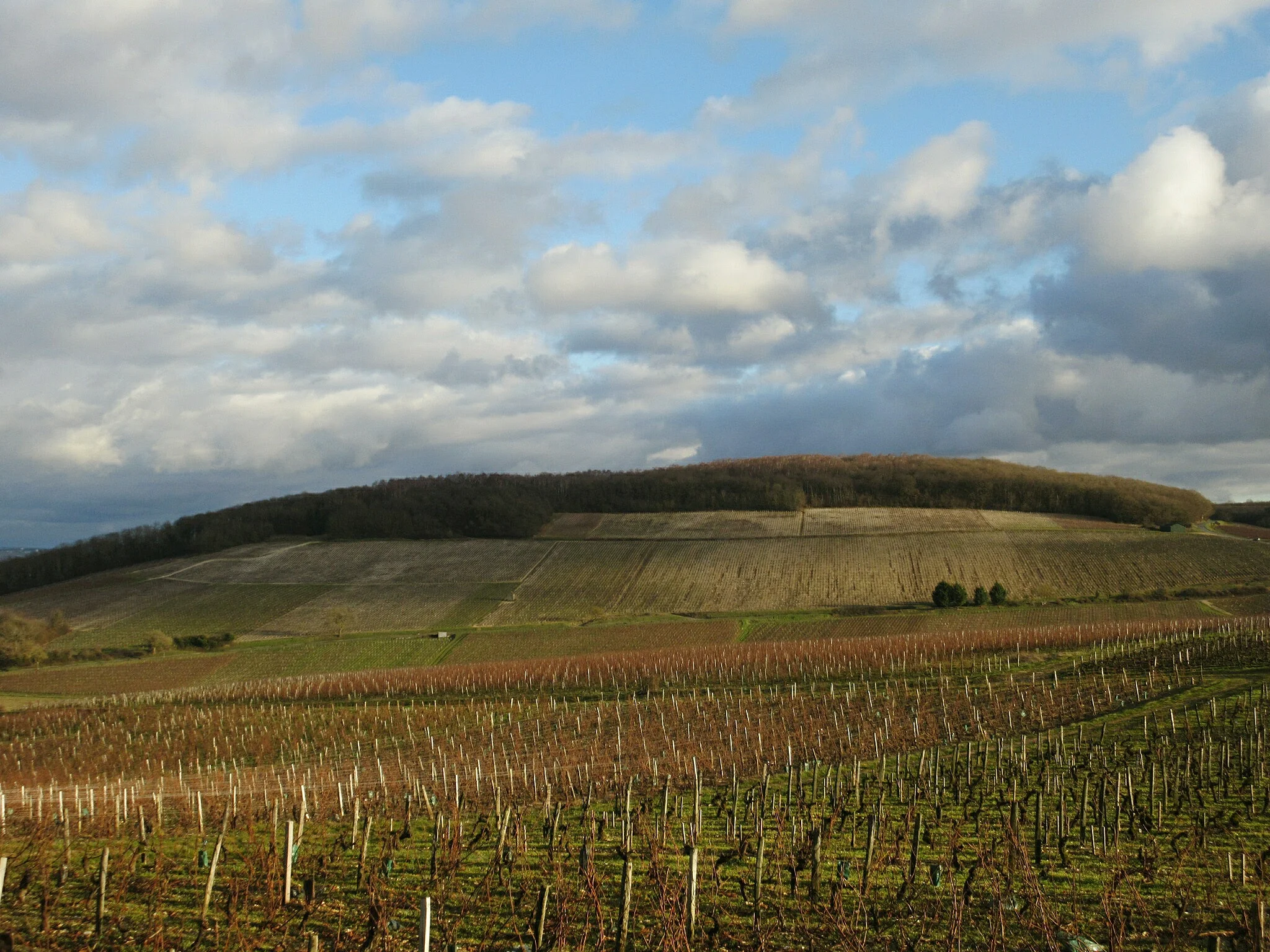  A magical hill...