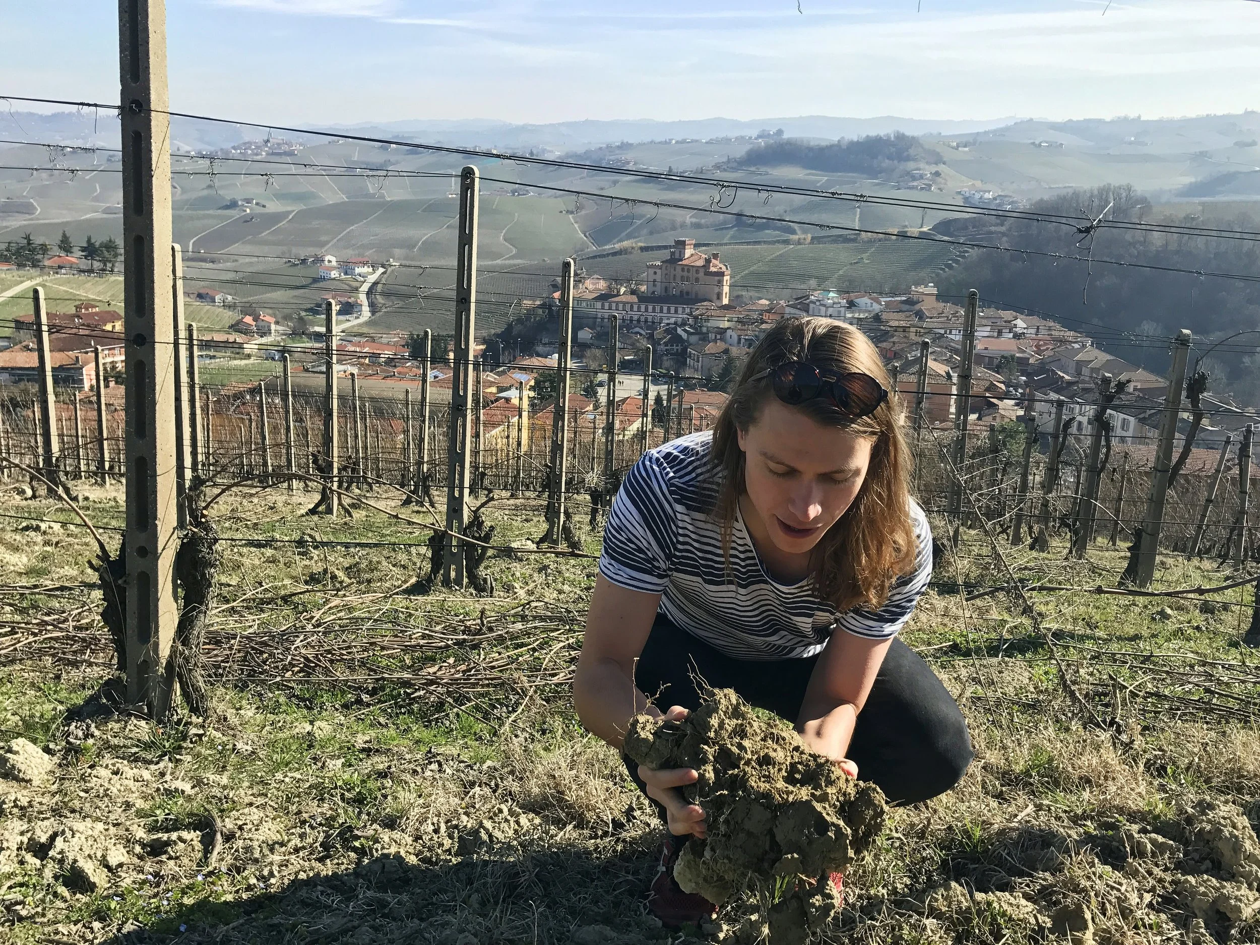  Soil inspection overlooking the town of Barolo...