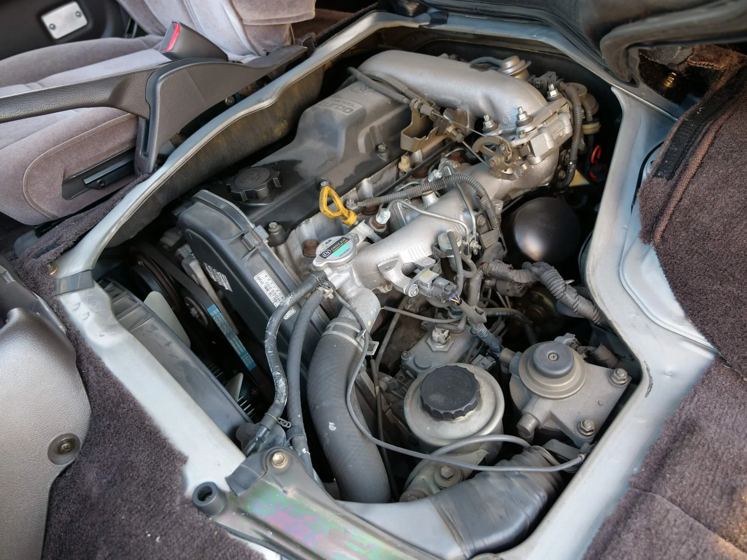 P1511567.JPG