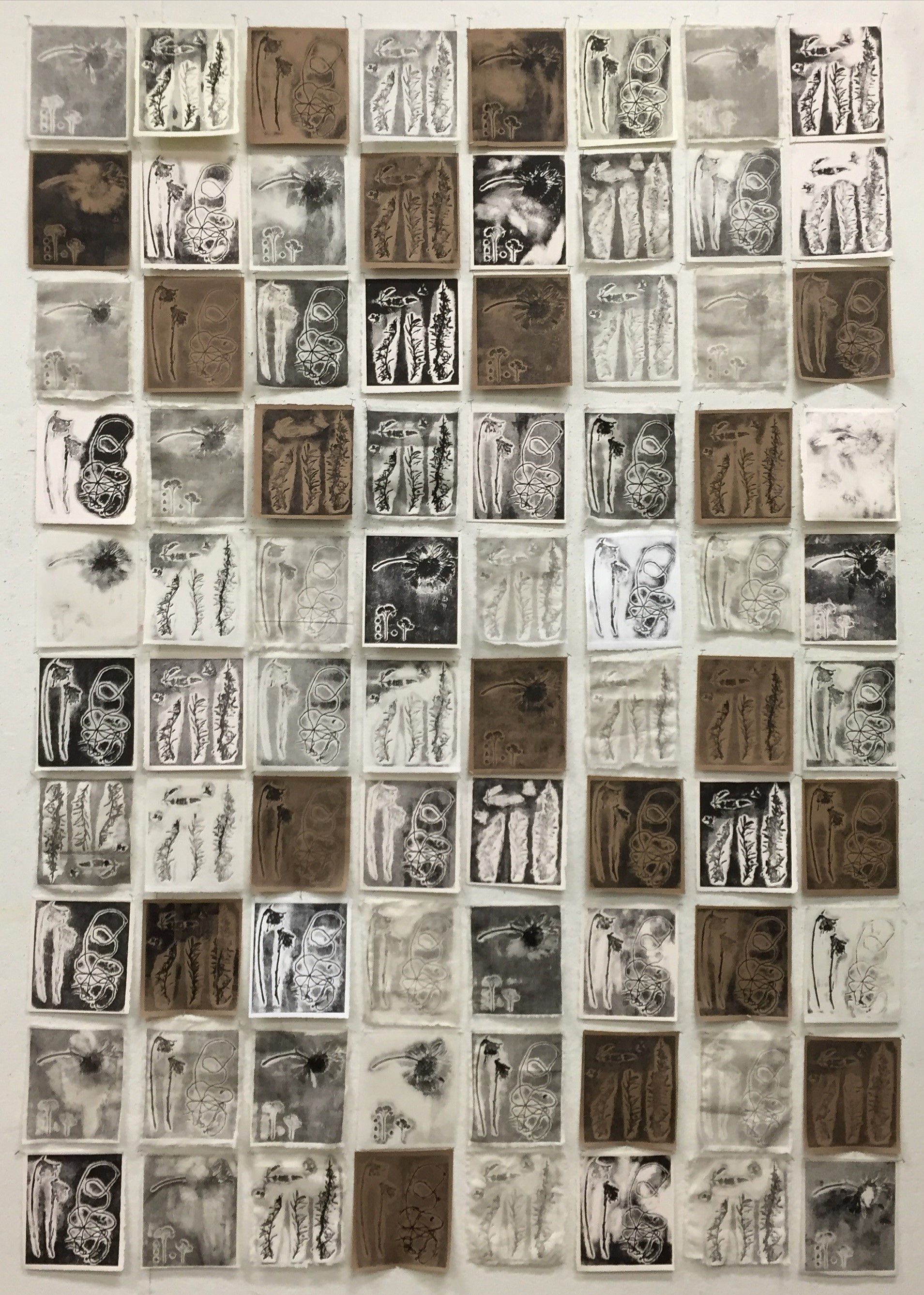  Colograph Taxonomy, 2016 