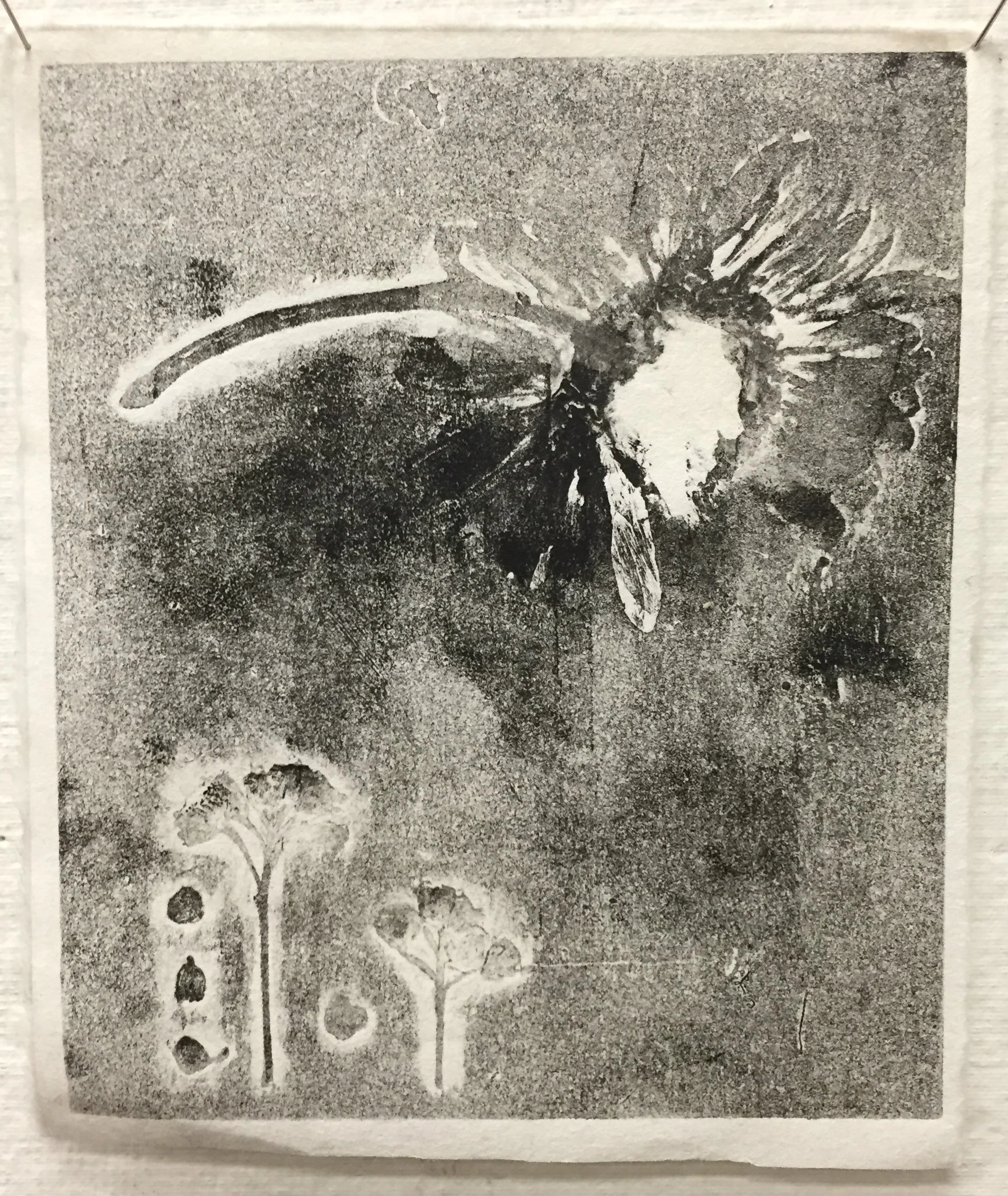  Colograph Taxonomy (detail), 2016 