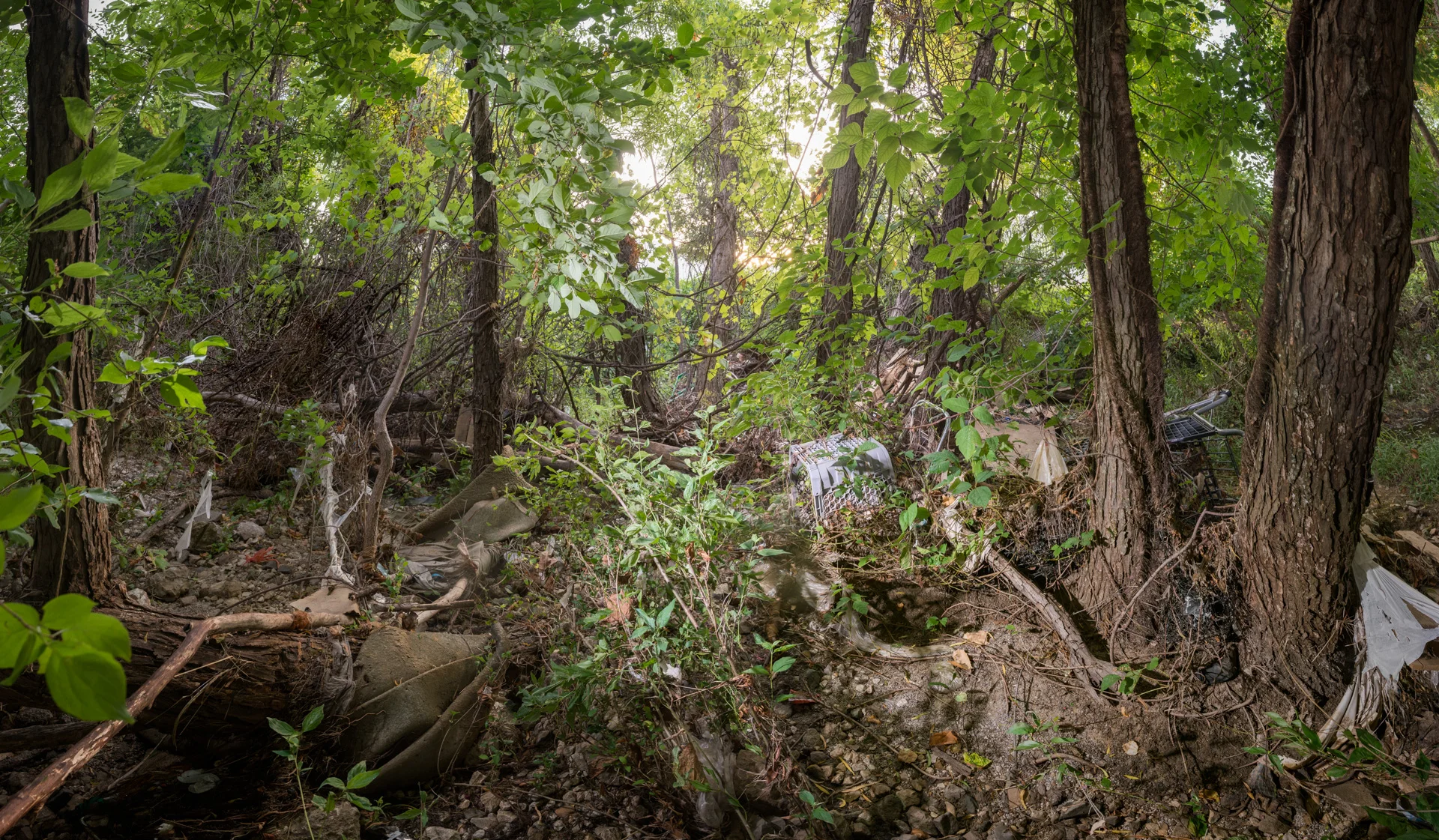 No Unsacred Places: Peter Hiatt