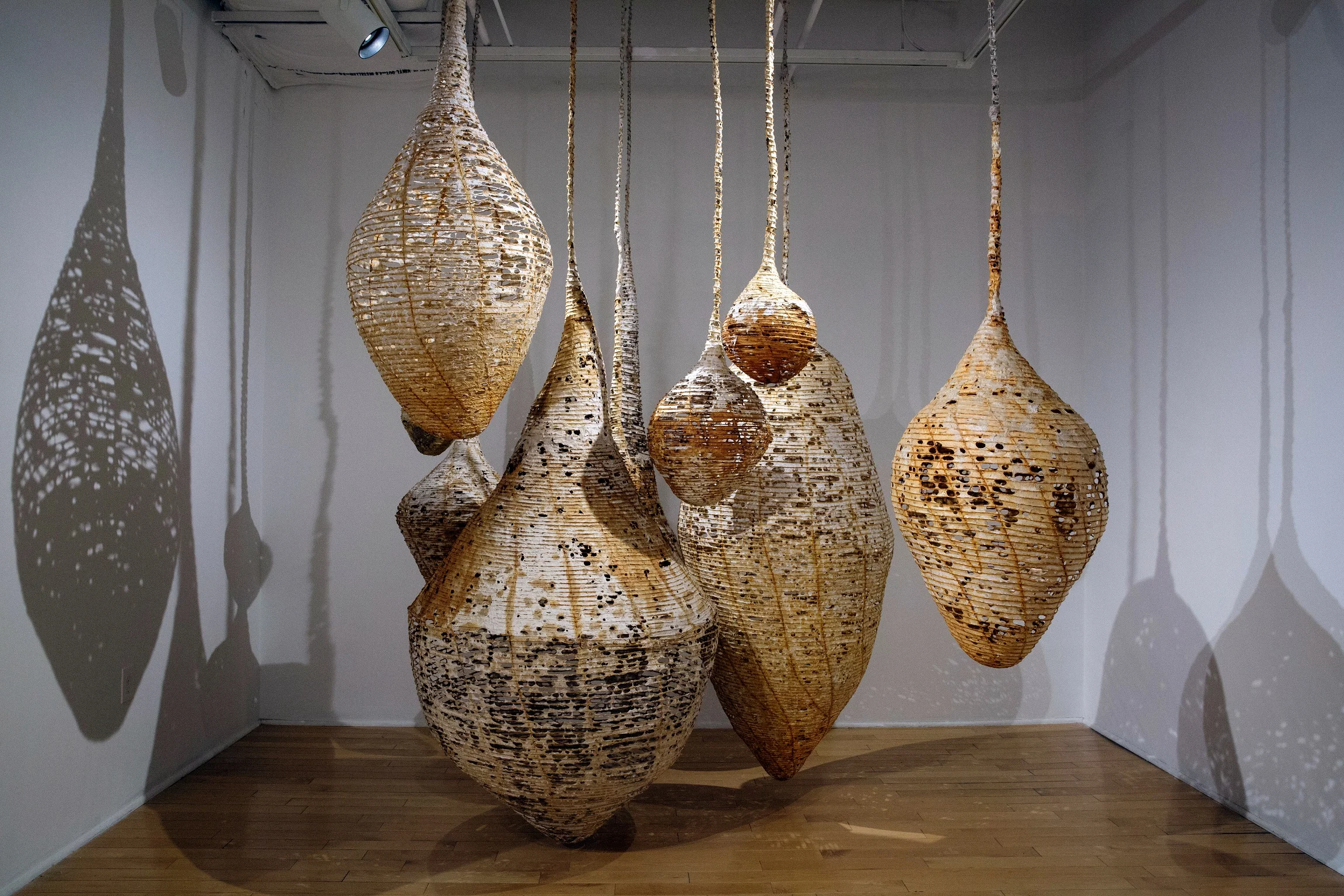 Interview with  Hanna Vogel