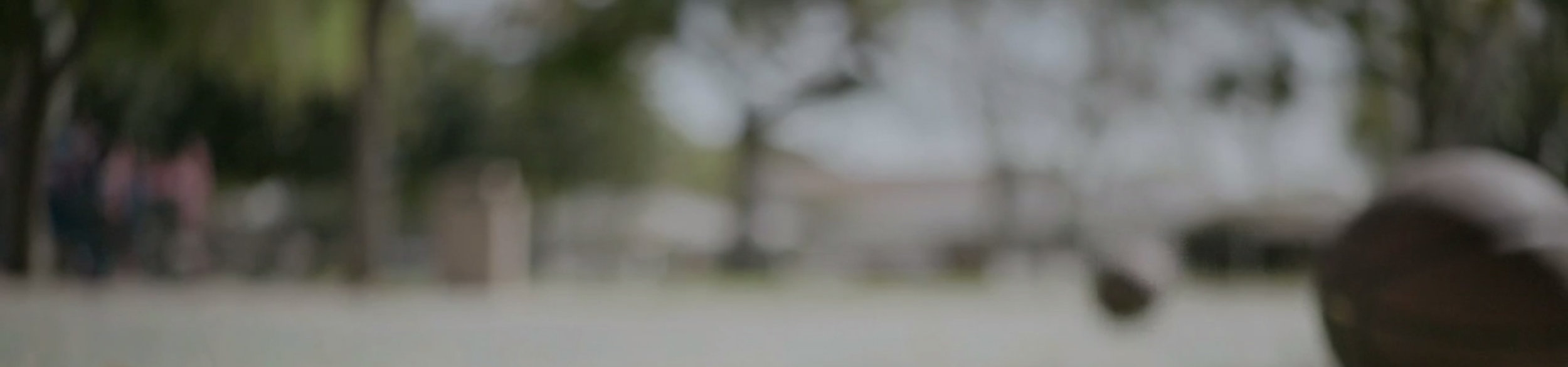 ALOYT_bokeh.jpg