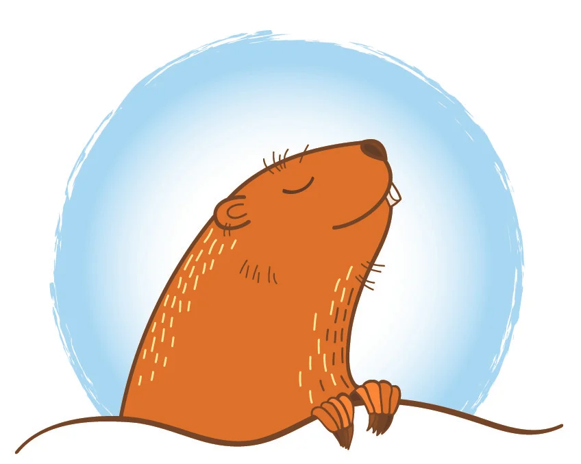 optimistic groundhog.jpg