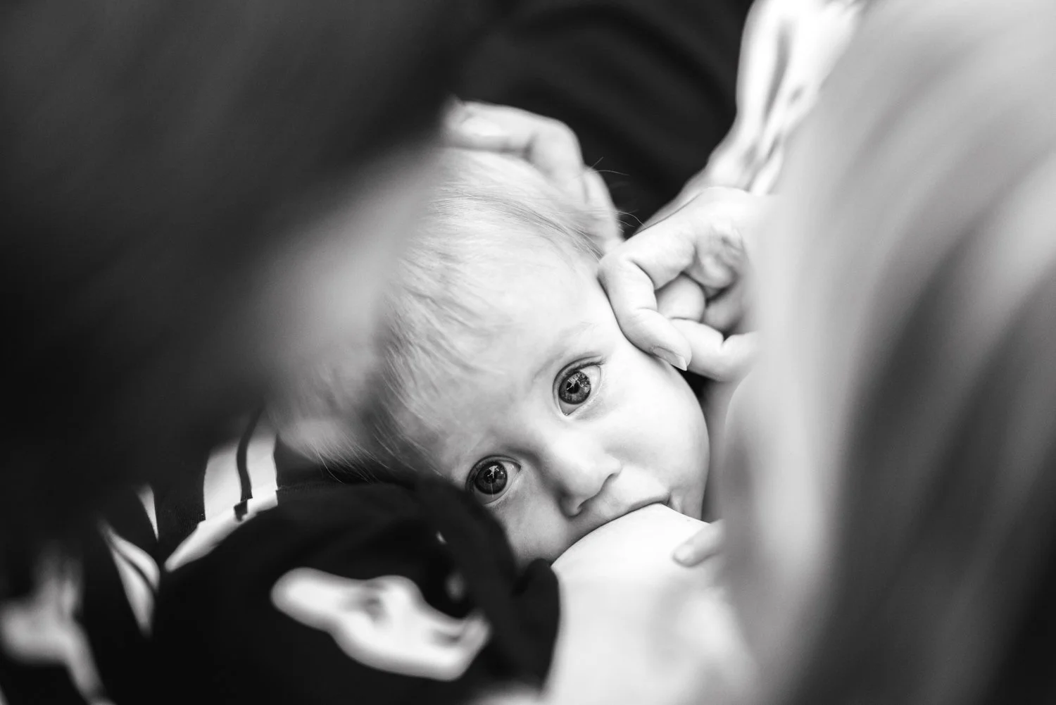 Eliza,Natalie,Dan_Fall_2023_B&W (8 of 10).jpg