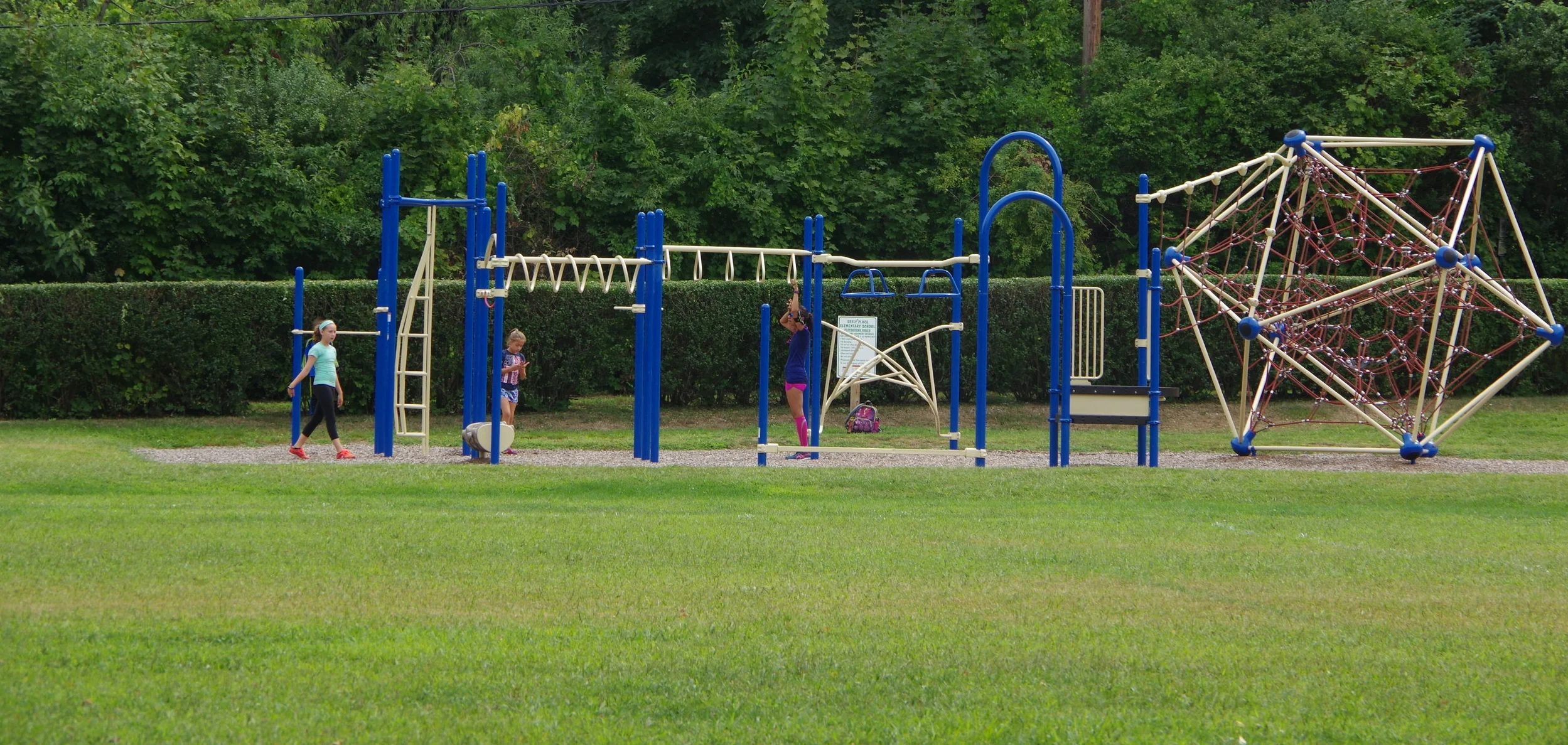 IMGP5369.JPG